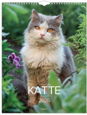 MAYLAND 2016 VÆGKALENDER KATTE