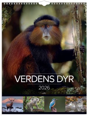 MAYLAND 2026 VÆGKALENDER VERDENS DYR