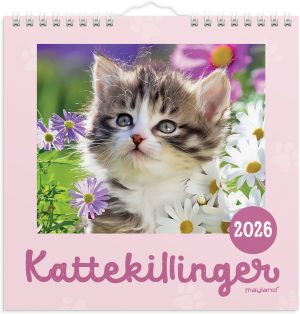 MAYLAND 2026 VÆGKALENDER KATTEKILLINGER