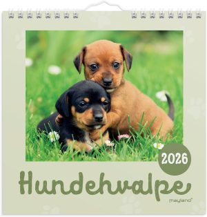MAYLAND 2026 VÆGKALENDER HUNDEHVALPE