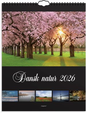 MAYLAND 2026 VÆGKALENDER DANSK NATUR