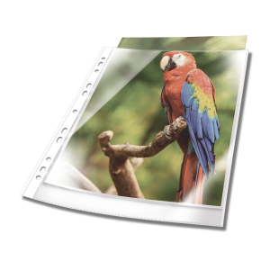 Plastlomme til ringbind premium med farvet kant a4 glasklar pp pose med 10