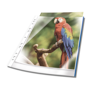 Plastlomme til ringbind premium med farvet kant a4 glasklar pp pose med 25