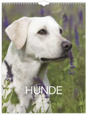 MAYLAND 2027 VÆGKALENDER HUNDE