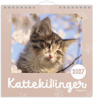 MAYLAND 2027 VÆGKALENDER KATTEKILLINGER