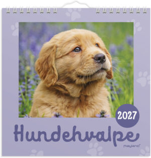 MAYLAND 2027 VÆGKALENDER HUNDEHVALPE